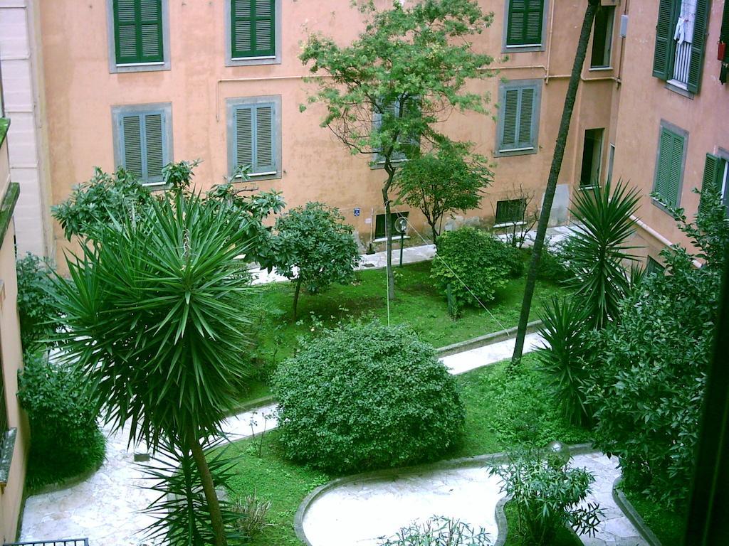 Cimini Near Vatican